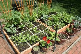 Garden Workshops on Gardening 101 And Container Gardening Workshops   The Edible Garden